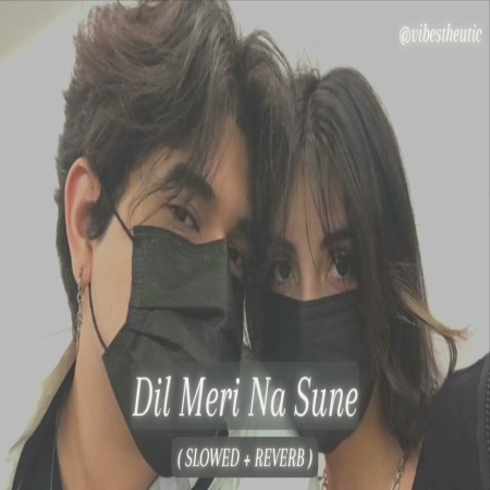 Dil Meri Na Sune Slowed Reverb