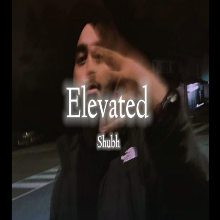 Elevated Slowed Reverb