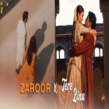 Zaroor X Tere Bina