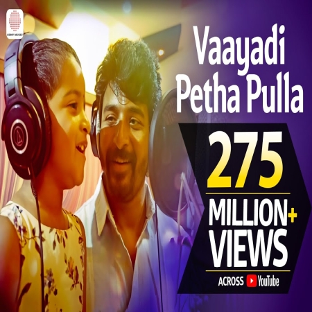 Vaayadi Petha Pulla