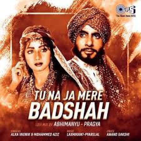 Tu Na Ja Mere Badshah Lofi Mix